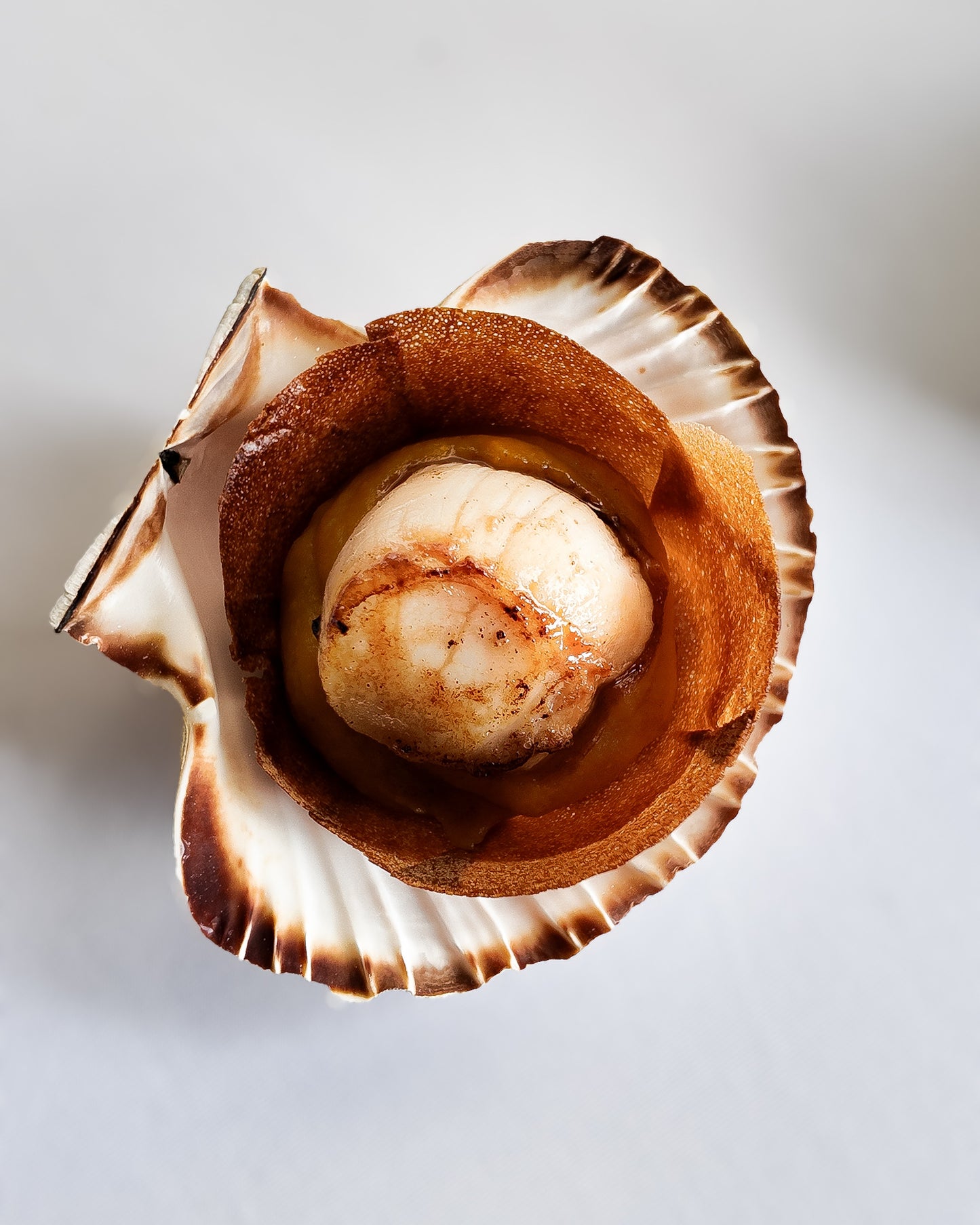 NOIX DE SAINT-JACQUES - 400g