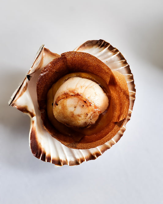 NOIX DE SAINT-JACQUES - 1 kg